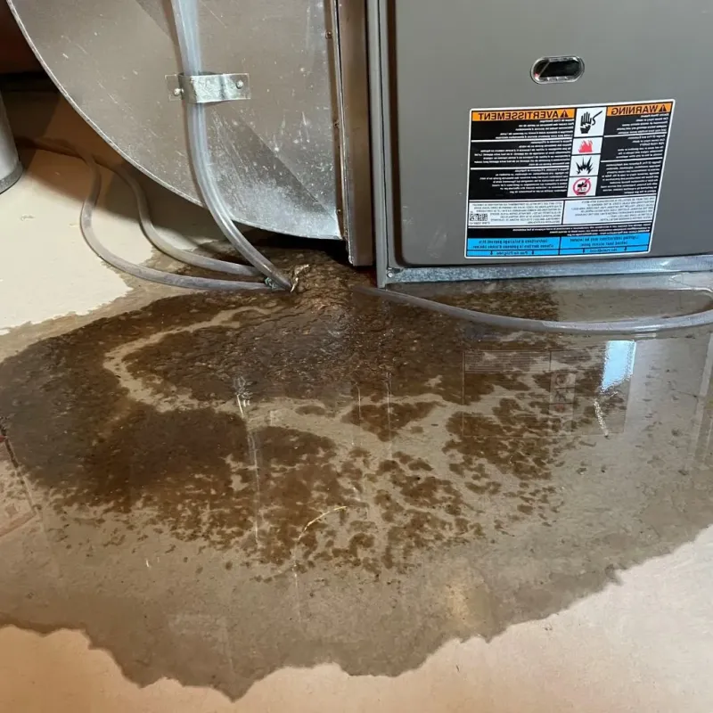 Pipe Burst and Leak Restoration in Lincoln Square, IL