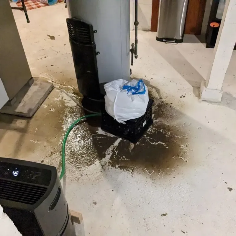 Sewage Backup Cleanup Service in Lincoln Square, IL